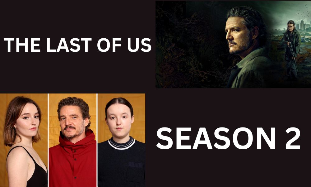 The last of us - season 2