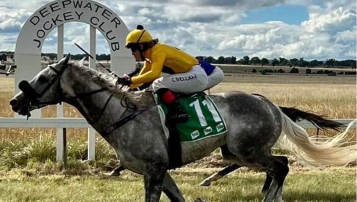 Antiquarian surges past rivals to win the Jockey Club Gold Cup at Saratoga Race Course