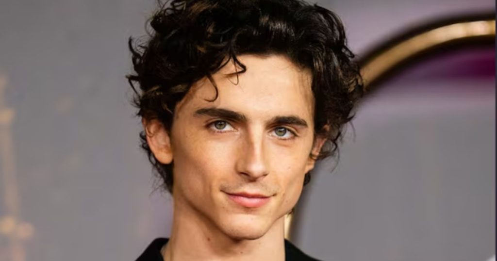 Timothée Chalamet on red carpet for Wonka premiere 2025