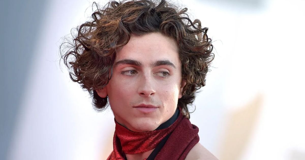 Timothee Chalamet on red carpet for Wonka premiere 2025