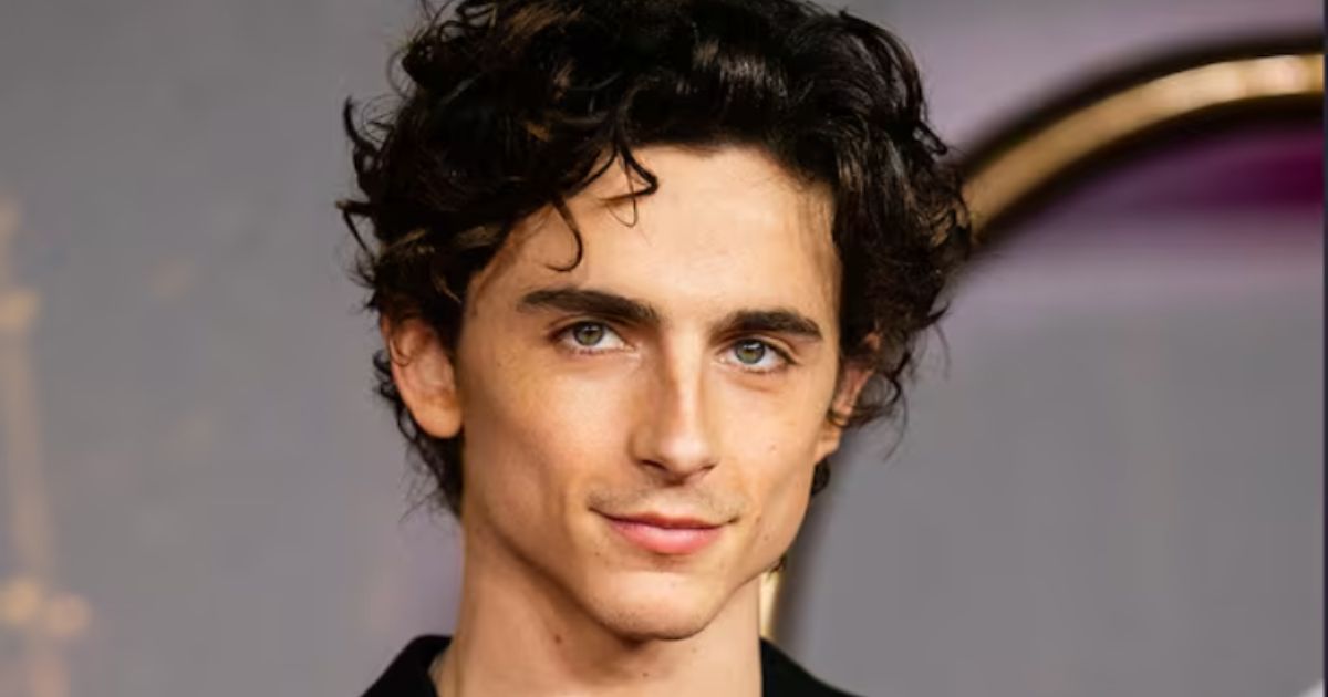 Timothée Chalamet on red carpet for Wonka premiere 2025