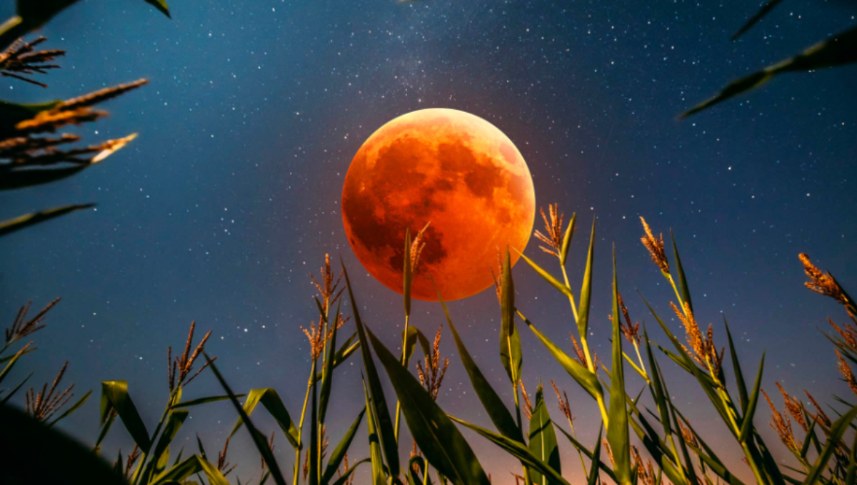 Full moon September 2025 total lunar eclipse over a night skyline